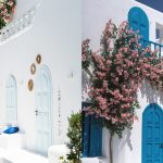 2025-02-19-114845-67b5c51d4fec2