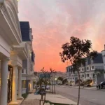 6215f82caeaed_6214e717867d8_6