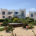 المساحات الخضراء في مامونتن فيو رأس الحكمة