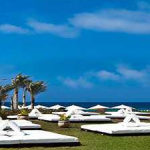 المناظر الطبيعية ماونتن فيو