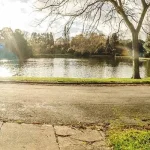 5ed501dc18c6a079363729